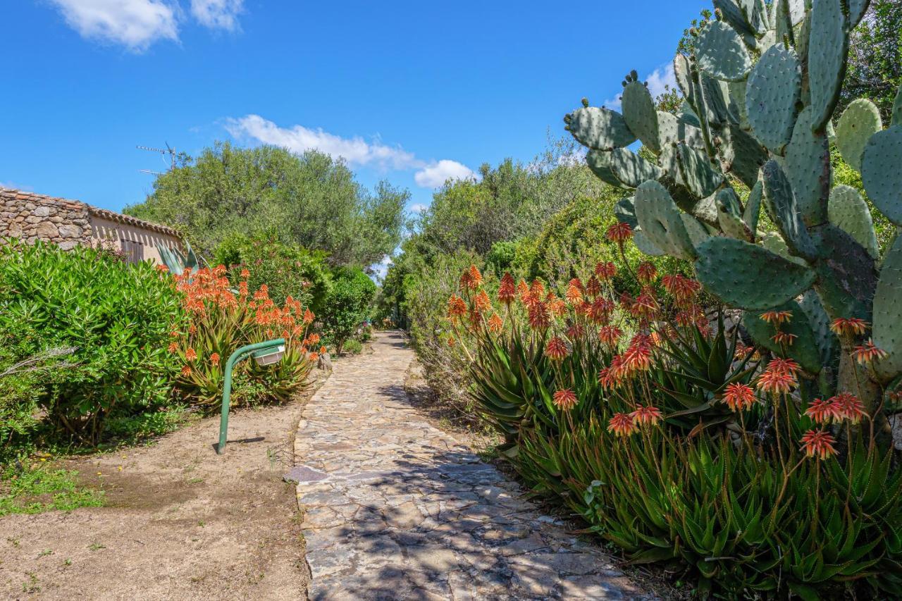 La Caletta - Porto Rotondo Daire Dış mekan fotoğraf